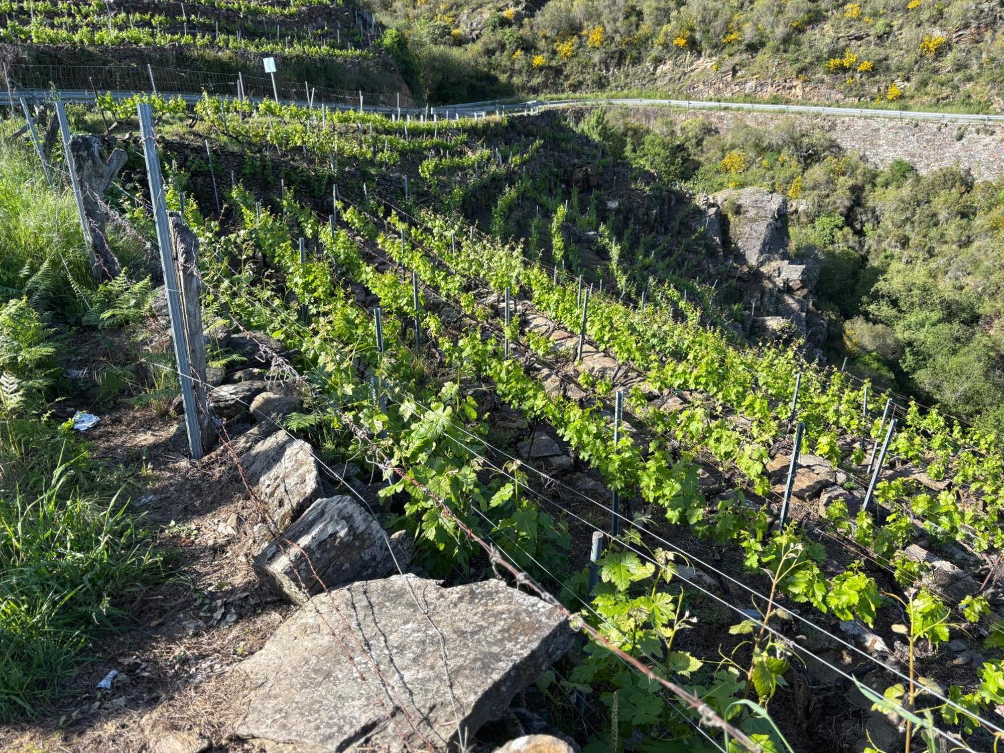 Casa Da Baltasara Villa Trives Eksteriør bilde